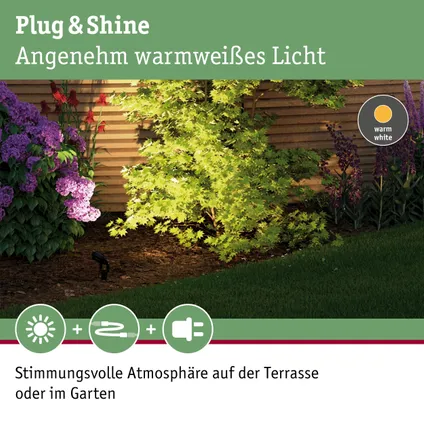 Paulmann Outdoor Plug & Shine prikspot Sting antraciet 6W 10