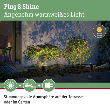 Spot à piquer Paulmann Outdoor Plug & Shine Pike anthracite 2,2W 8