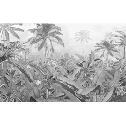 Komar photo murale Amazonia Black & White 400x250cm