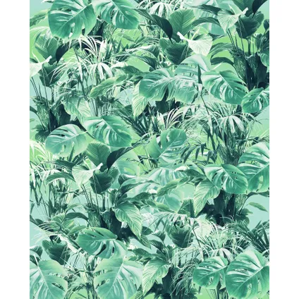 Komar fotobehang Evergreen 200 x 250 cm