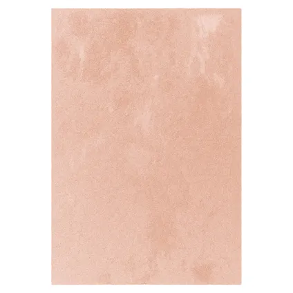 Vloerkleed Belle roze 160x230cm 3