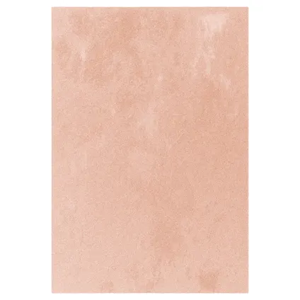 Vloerkleed Belle roze 160x230cm 6