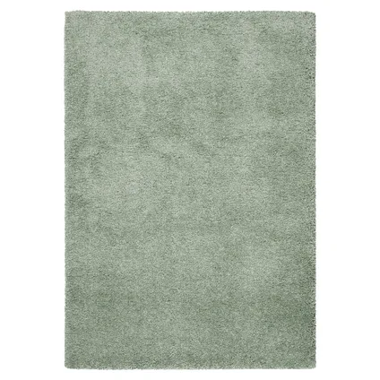 Tapis Belle gris vert 160x230cm 3