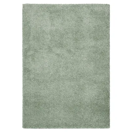 Tapis Belle gris vert 160x230cm 6