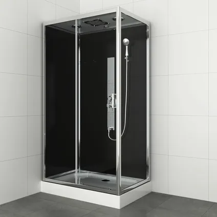 Cabine de douche rectangulaire Allibert Gipsy argent 80x120cm