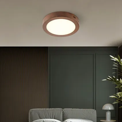 Home Sweet Home plafondlamp LED Ska roest 15W 3