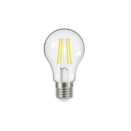 Ampoule LED à filament E27 4W 2pcs