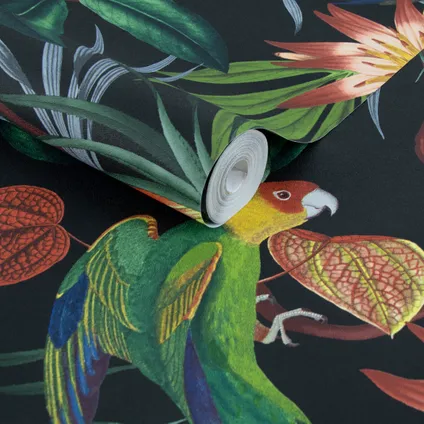 Papier peint intissé Decomode Parrot multicolore noir 3
