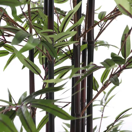Mica Decorations bamboe h150 groen met zwarte stammen - GROEN 4