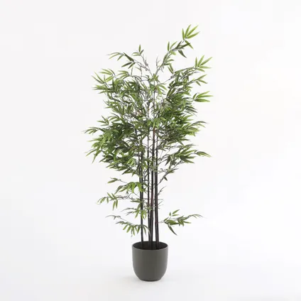 Plante artificielle Mica Decorations Bamboe - 95x95x150 cm - Noir 5