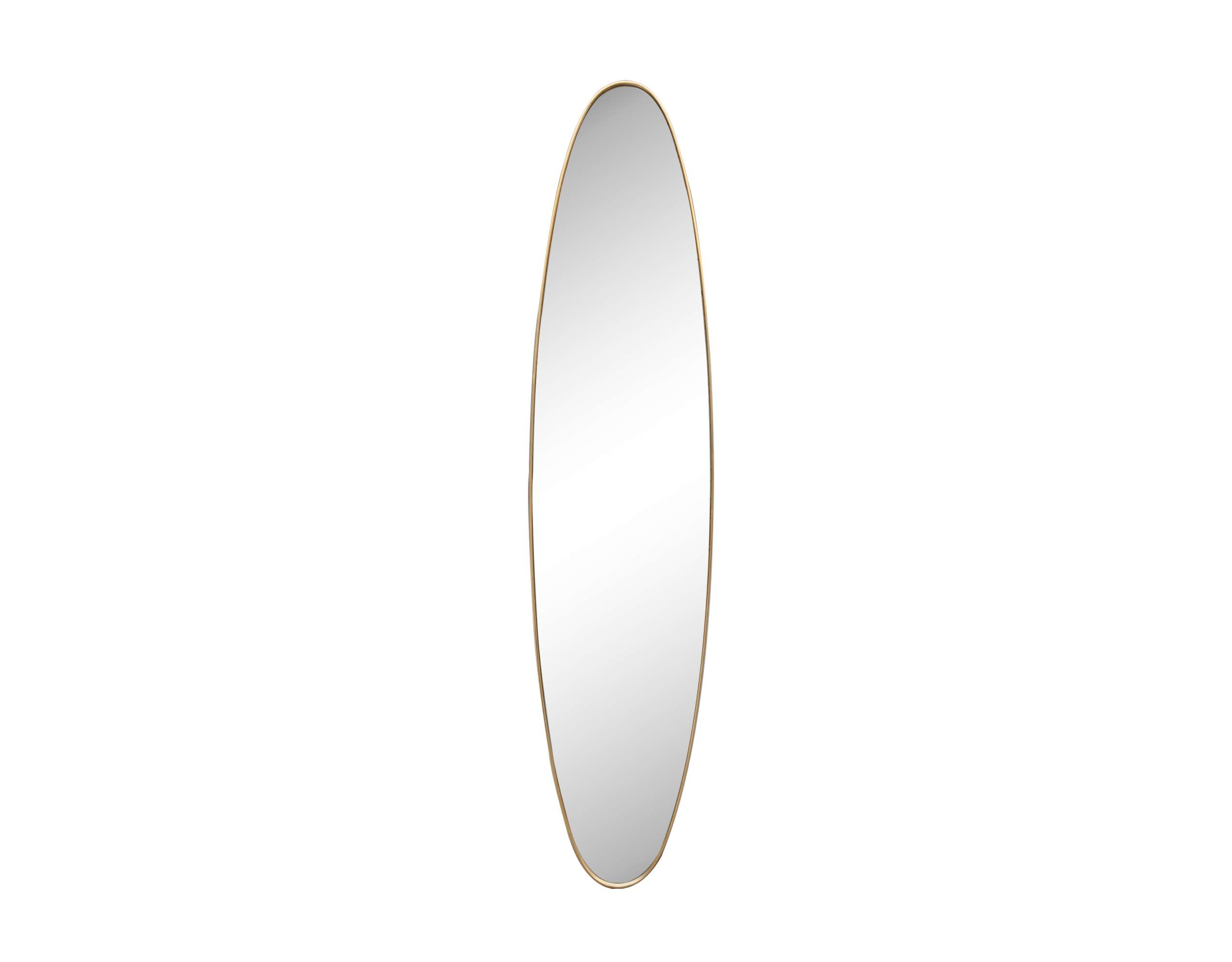 agentschap Schat nauwkeurig Ovale spiegel goud 24x118cm