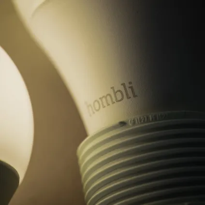 Hombli smart lamp LED E27 9W 4