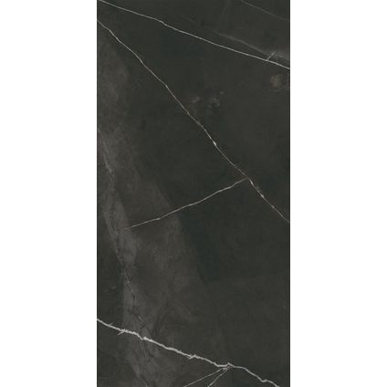 Wand- en vloertegel Quasar - Keramiek - Grijs - 60x120cm - Pakketinhoud 1,44m²