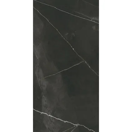 Wand- en vloertegel Quasar - Keramiek - Grijs - 60x120cm - Pakketinhoud 1,44m²