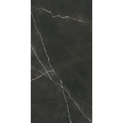 Wand- en vloertegel Quasar - Keramiek - Grijs - 60x120cm - Pakketinhoud 1,44m² 3
