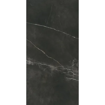 Wand- en vloertegel Quasar - Keramiek - Grijs - 60x120cm - Pakketinhoud 1,44m² 4