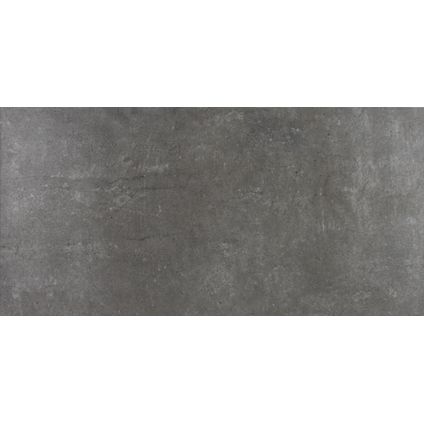Wand- en vloertegel Ice Grey Silver - Keramiek - Grijs - 31x62cm - Pakketinhoud 1,58m²