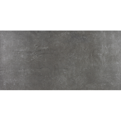 Vloertegel Ice Grey Silver keramisch 31x62cm