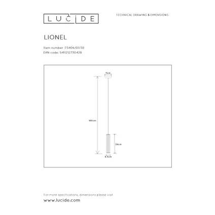 Lucide hanglamp Lionel 7