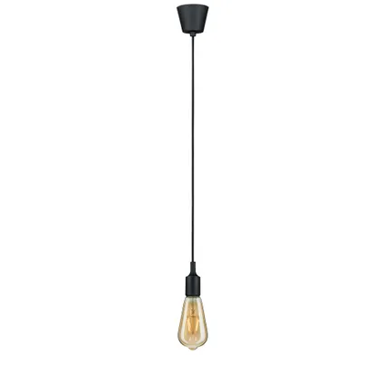 Paulmann hanglamp Neordic Ketil zwart E27 20W 7