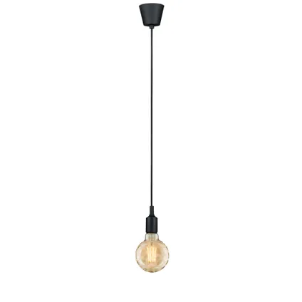 Paulmann hanglamp Neordic Ketil zwart E27 20W 14