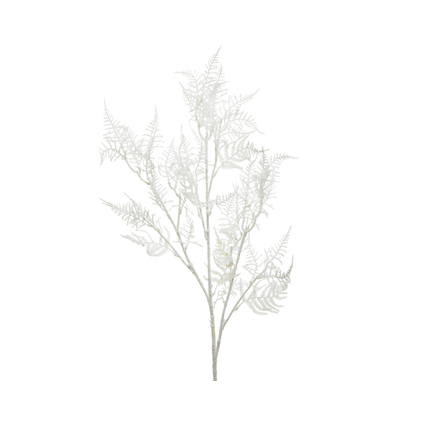 Tak Asparagus op steel wit 100cm