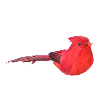Vogel rood veer 20cm