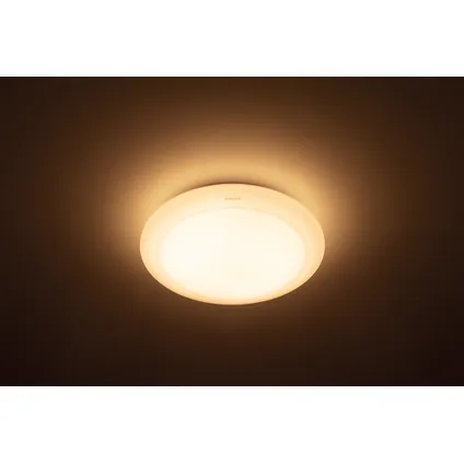 Philips plafondlamp Moire koelwit ⌀24cm 10W 3