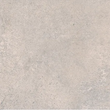 Carrelage mur et sol gris 60x60cm 2