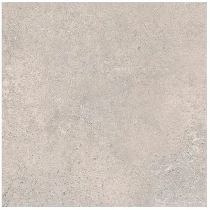 Wand- en vloertegel grijs 60x60cm 3