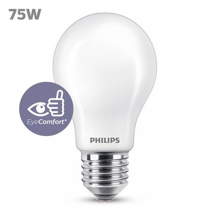 Ampoule LED Philips blanc chaud E27 8,5W