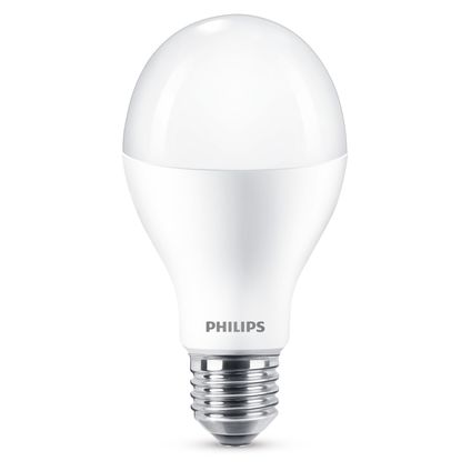 Philips ledlichtbron warm wit E27 13W