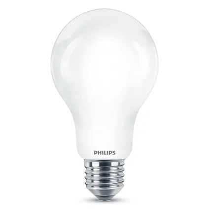 Ampoule LED Philips blanc chaud E27 17,5W 3
