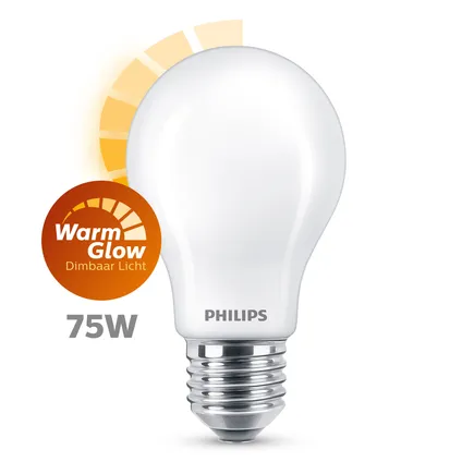 Blaast op Langskomen Sta in plaats daarvan op Philips LED-lamp 10,5W E27
