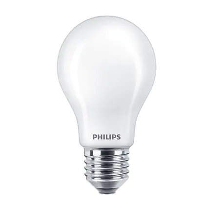 zwavel Verrast zijn loyaliteit Philips LED lamp E27 12W warm wit