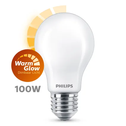 Philips LED lamp E27 12W warm wit 2