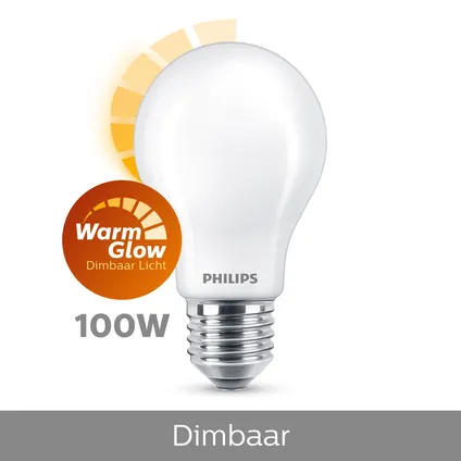 Philips LED lamp E27 12W warm wit 3