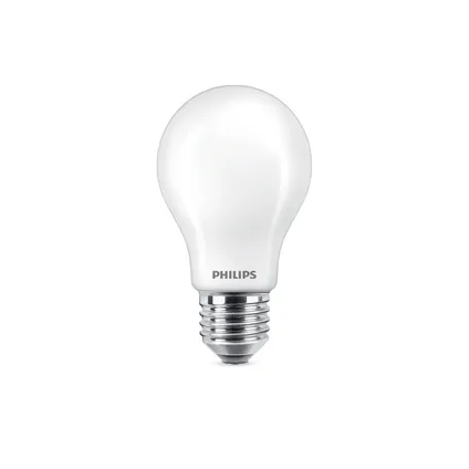 Philips LED lamp E27 12W warm wit 5