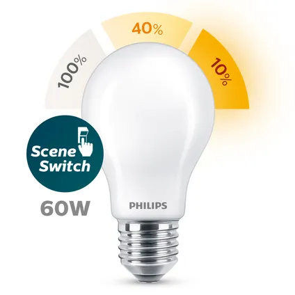 Source lumineuse LED Philips blanc chaud E27 13W 3
