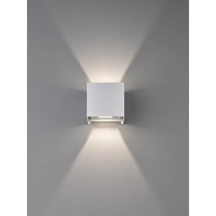 Fischer & Honsel wandlamp LED Wall wit 2x3W 7