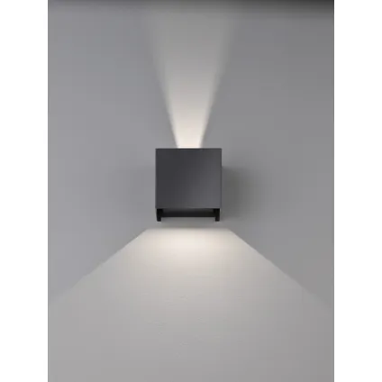 Fischer & Honsel wandlamp LED Wall zwart 2x8W 2