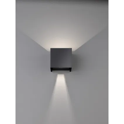 Applique Fischer & Honsel LED Wall noir 2x8W 3