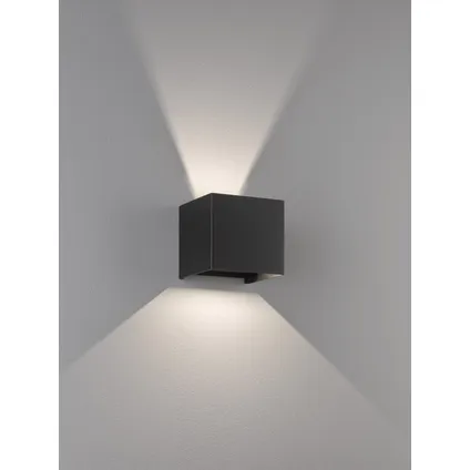 Fischer & Honsel wandlamp LED Wall zwart 2x8W 5
