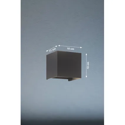 Fischer & Honsel wandlamp LED Wall zwart 2x8W 7