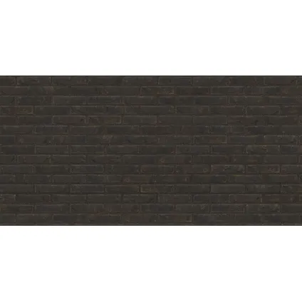 Coeck gevelsteen Mangaan zwart mod50 190x90x50mm 14,5m² 1000 stuks + palet 5696730