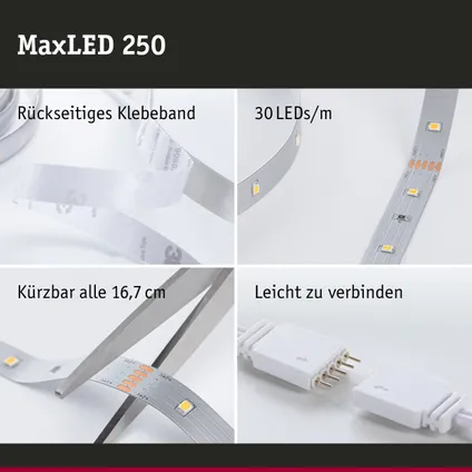 Ruban LED Paulmann MaxLED 250 2,5m blanc chaud 10W 12