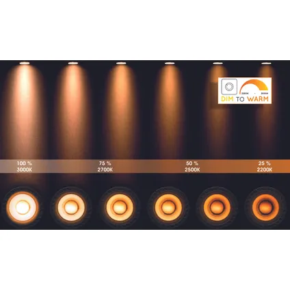 Ampoule LED Lucide chrome AR111 G5 10W 2