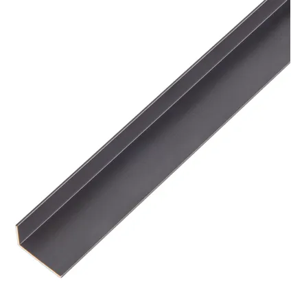 Alberts hoekprofiel aluminium zwart 20x10x1mm 1m