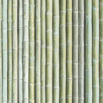 Vliesbehang bamboe groen G67941 2