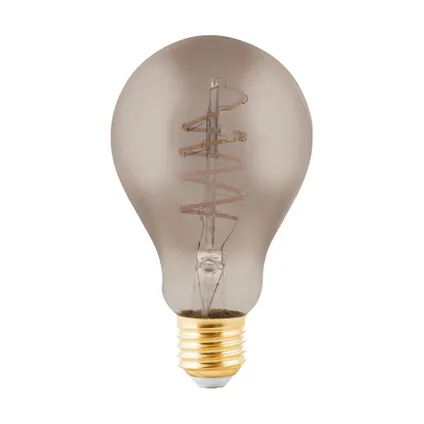 hoofdkussen betalen Erfgenaam EGLO LED-lamp bulb E27 100LM A75 4W